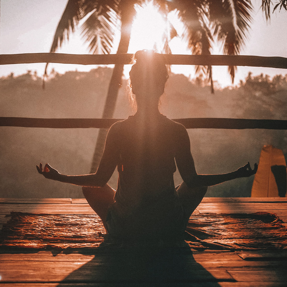 Manifesting Exercise